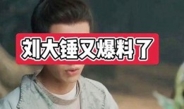 刘大锤爆料张翰视频,事件背后真相揭秘